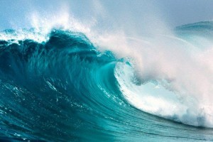 Catch the Tidal Wave: Coaching the Coach