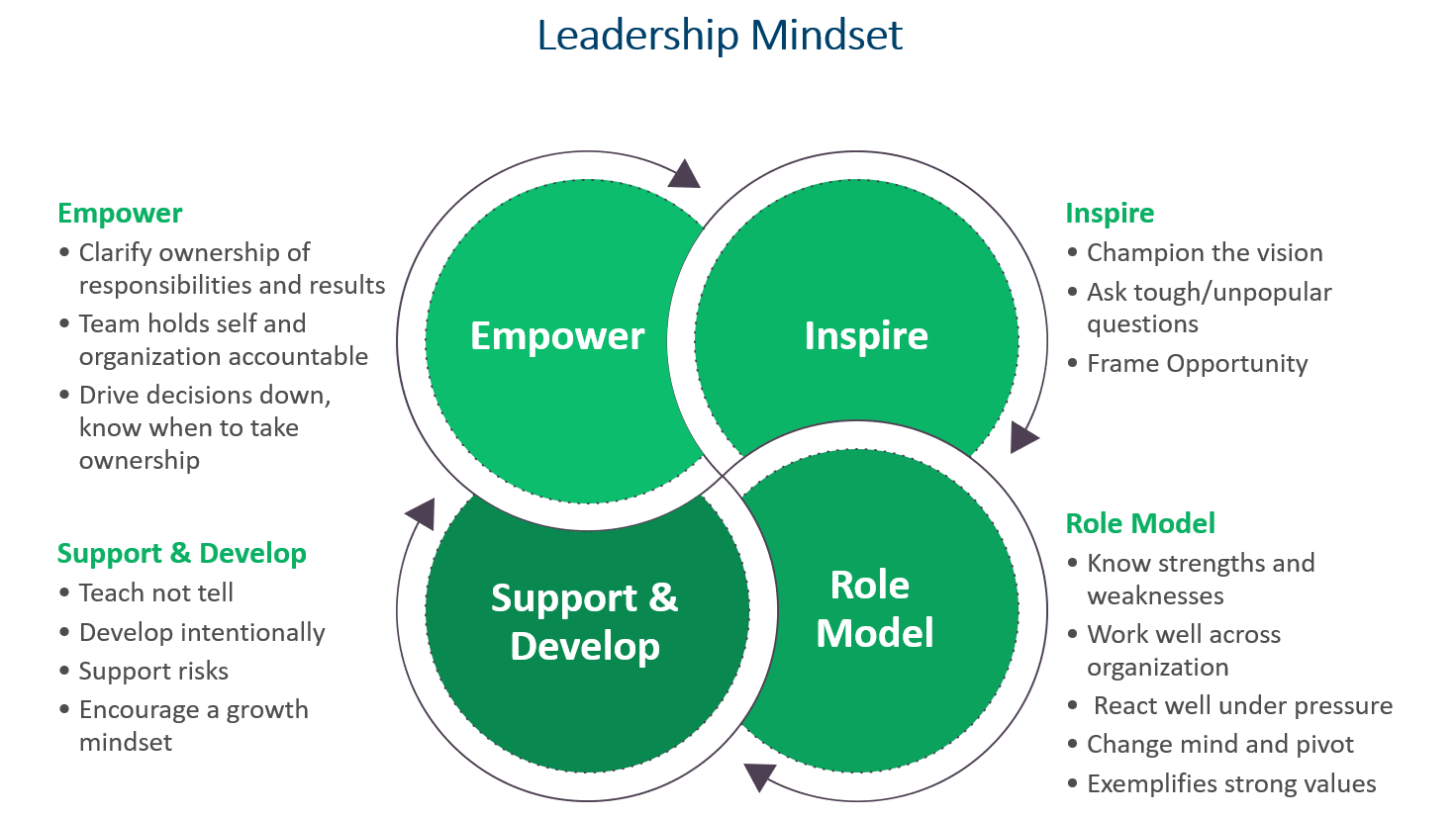 IE Leadership Mindset Model