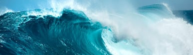 tidal-wave-875x250.jpg