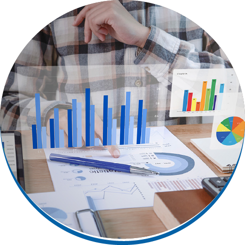 Insights_and_Analytics_1-1