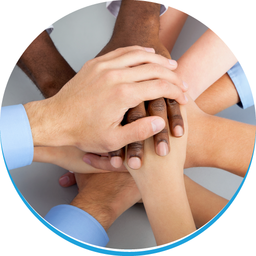 Leading Cultural Iniatives solutions