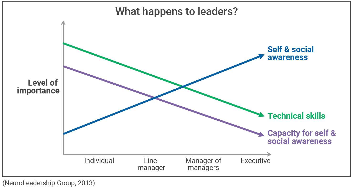Neuroscience and leadership: Interpersonal trumps analytics