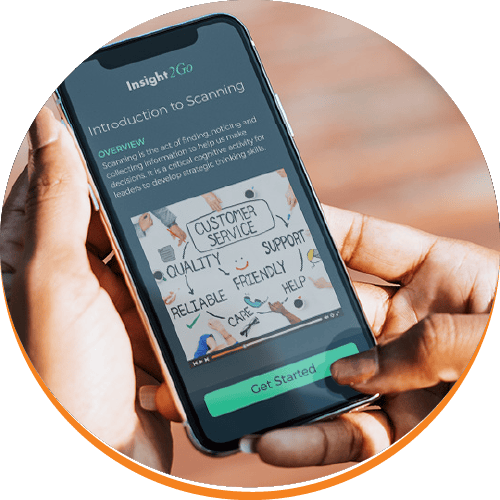 Microlearning with Insight Experience