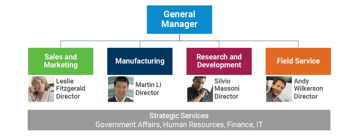 Org structure for fictional business in Leading at the Enterprise Level